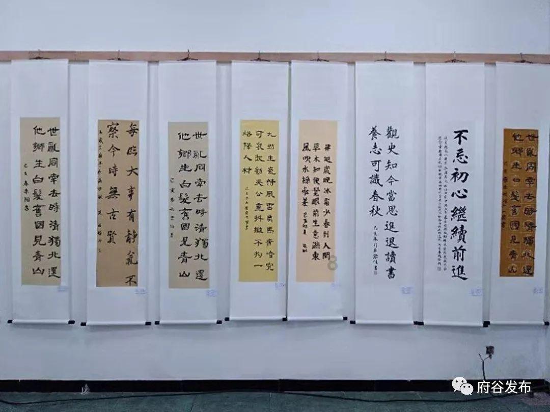 呆萌动物对对碰